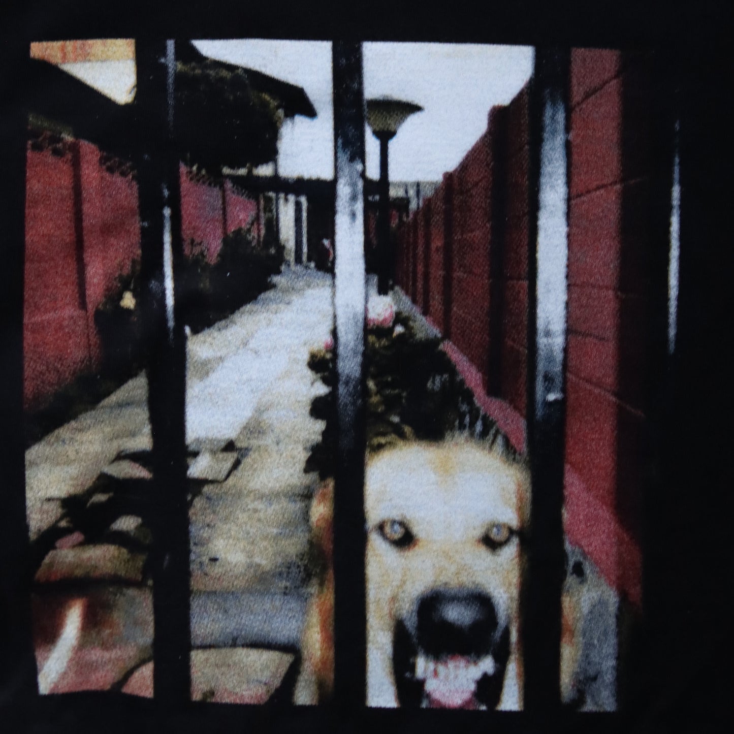 Black Dogs T-Shirt